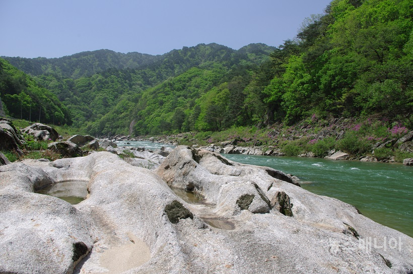 b41a2-6a41f2960990d-a8222d9fdc8158a7a8183affcbe24bf63d684bb4.jpg