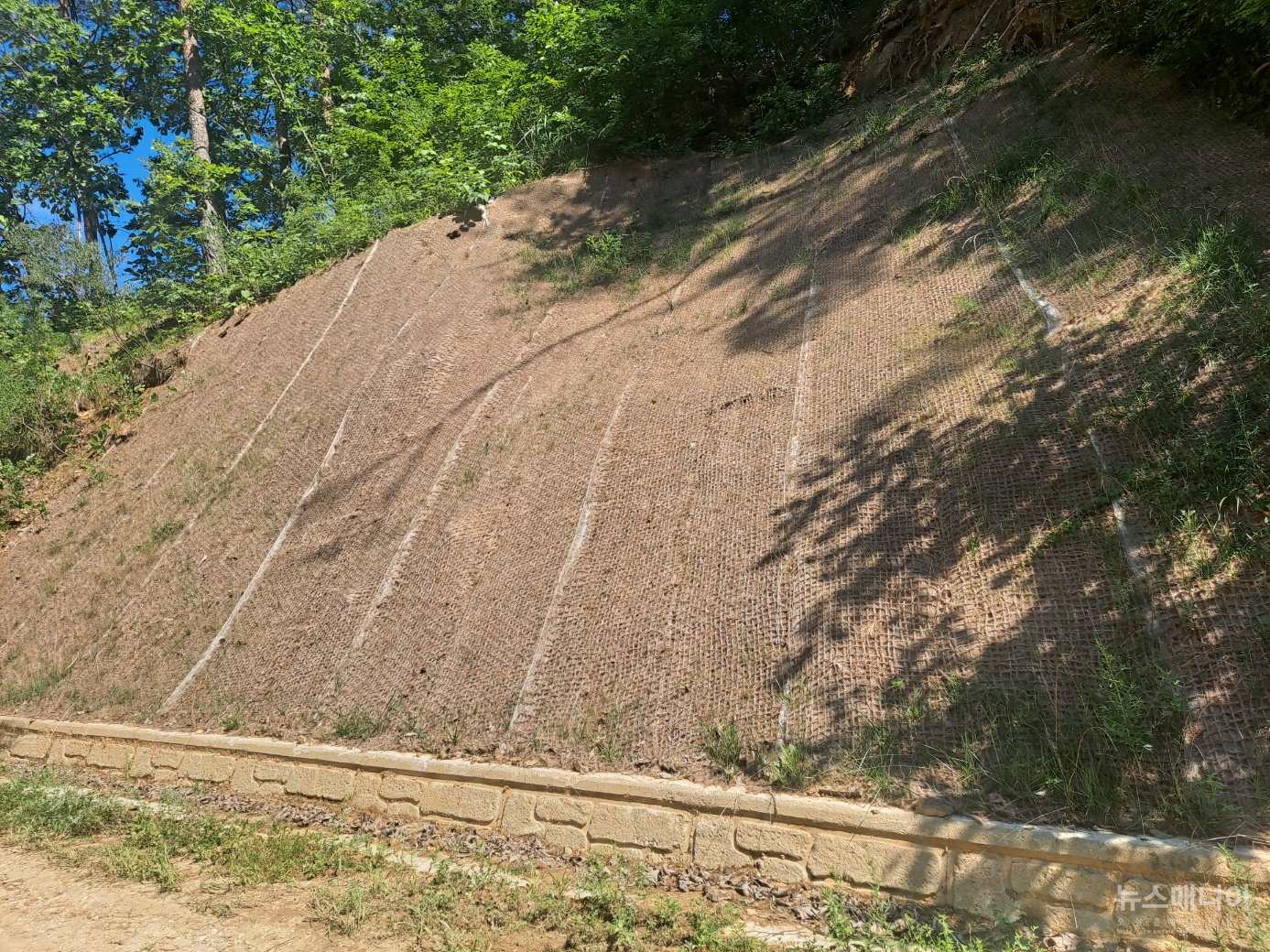 b41a2-6a7c24bac8cc8-cd3273f4faa59b210df9b95847836c69cff3c8da.jpg